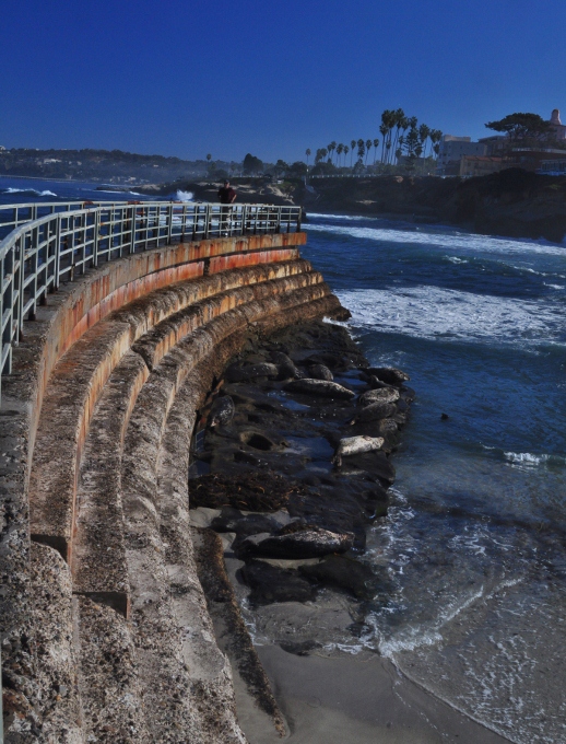 The Children's Pool, La Jolla coastline